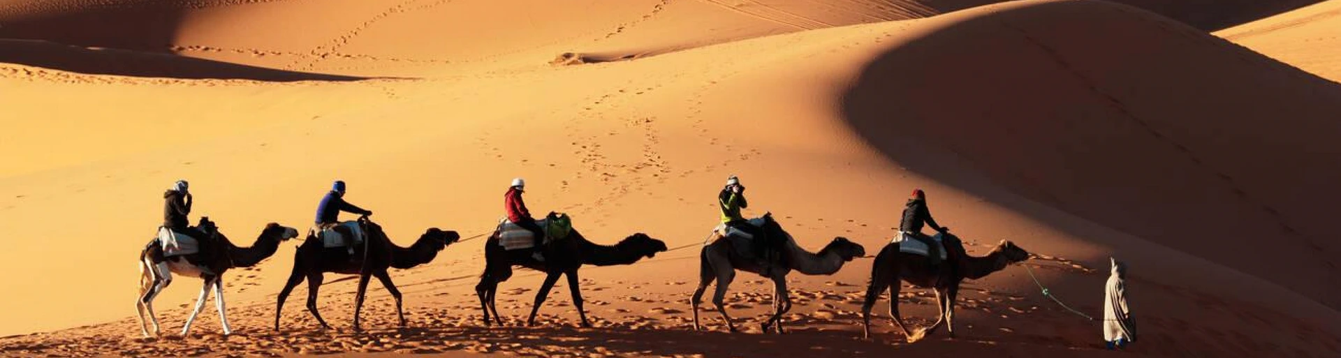 Дюны Эрг-Шебби на маршруте по Марокко на 8 дней